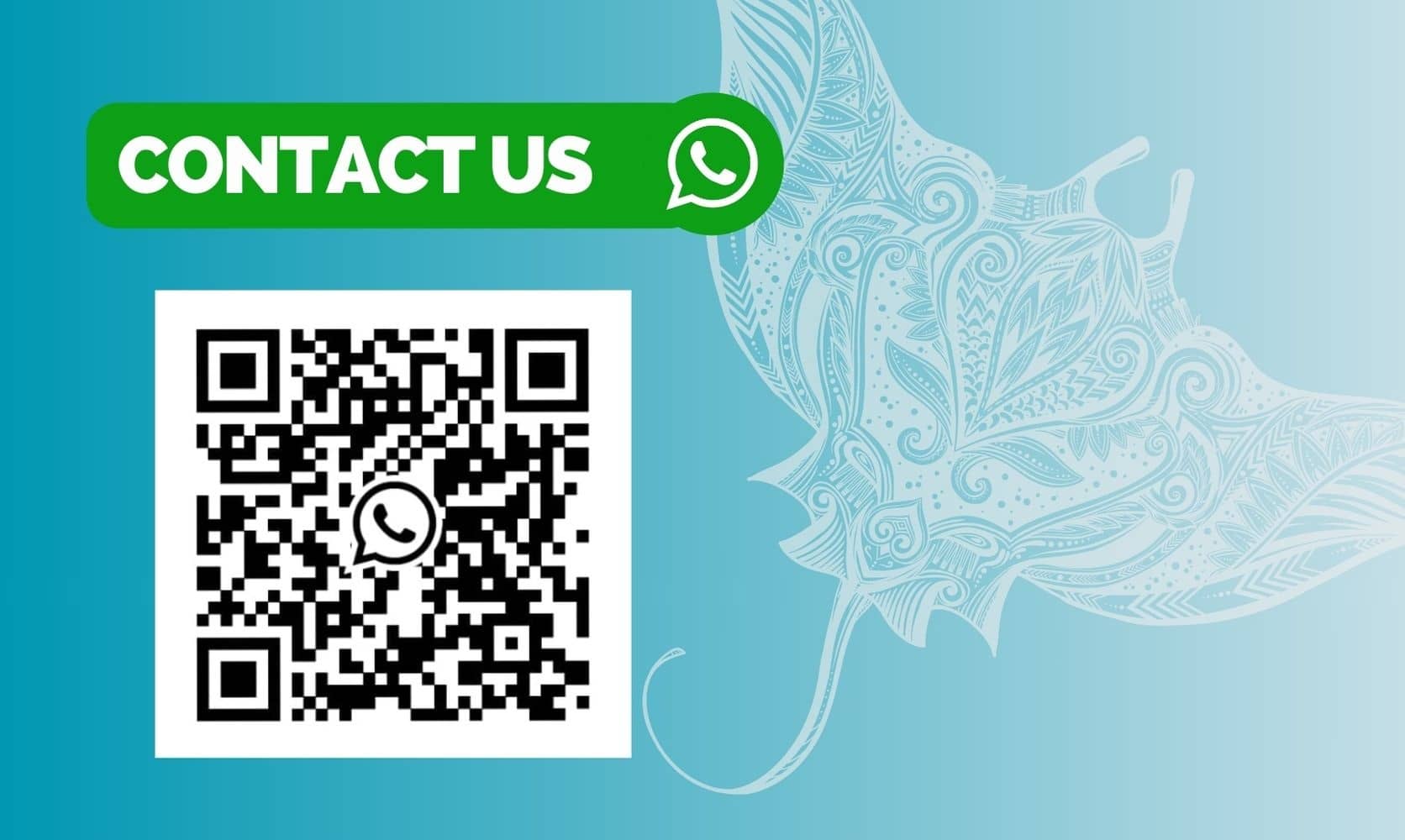 Contact us banner with green WhatsApp button and QR code on a teal background with a white manta-ray design.
