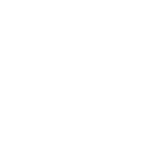 Circular logo with stylized whale, manta ray, and sea turtle above bold text MARINE MEGAFAUNA FOUNDATION.