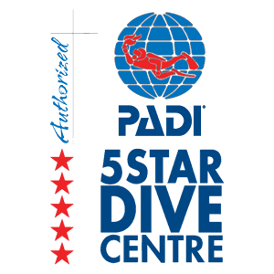 PADI 5 Star Dive Centre logo with globe and diver silhouette, five red stars and Professional script representing Nusa Lembongan