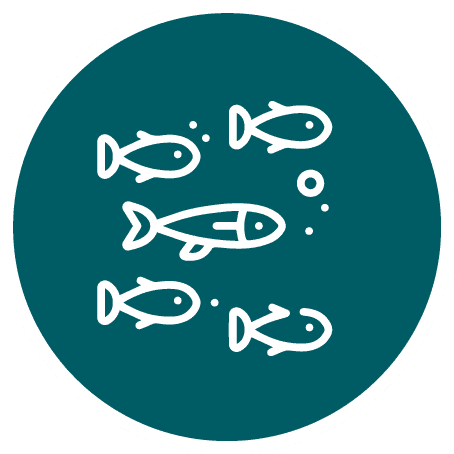 Five white outlined fish and bubbles swimming inside a teal circular badge with a white border.