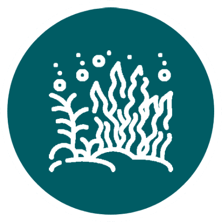 Stylized white seaweed and underwater plants with bubbles inside a teal circular badge with white border.