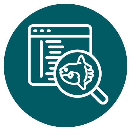Icon of a browser window with a magnifying glass revealing a fish, indicating marine search results for Nusa Lembongan.