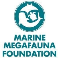 megafauna-logo Circular teal logo with a stylized dolphin and turtle forming a yin-yang shape above the words MARINE MEGAFAUNA FOUNDATION.