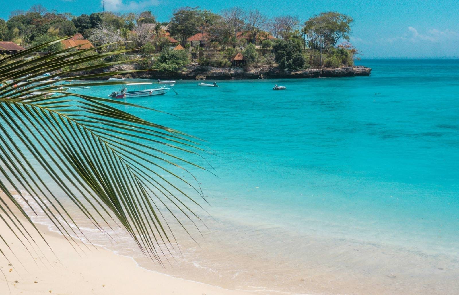 Palm frond frames a sandy beach on Nusa Lembongan as small boats float in turquoise water near a tree-lined shoreline.