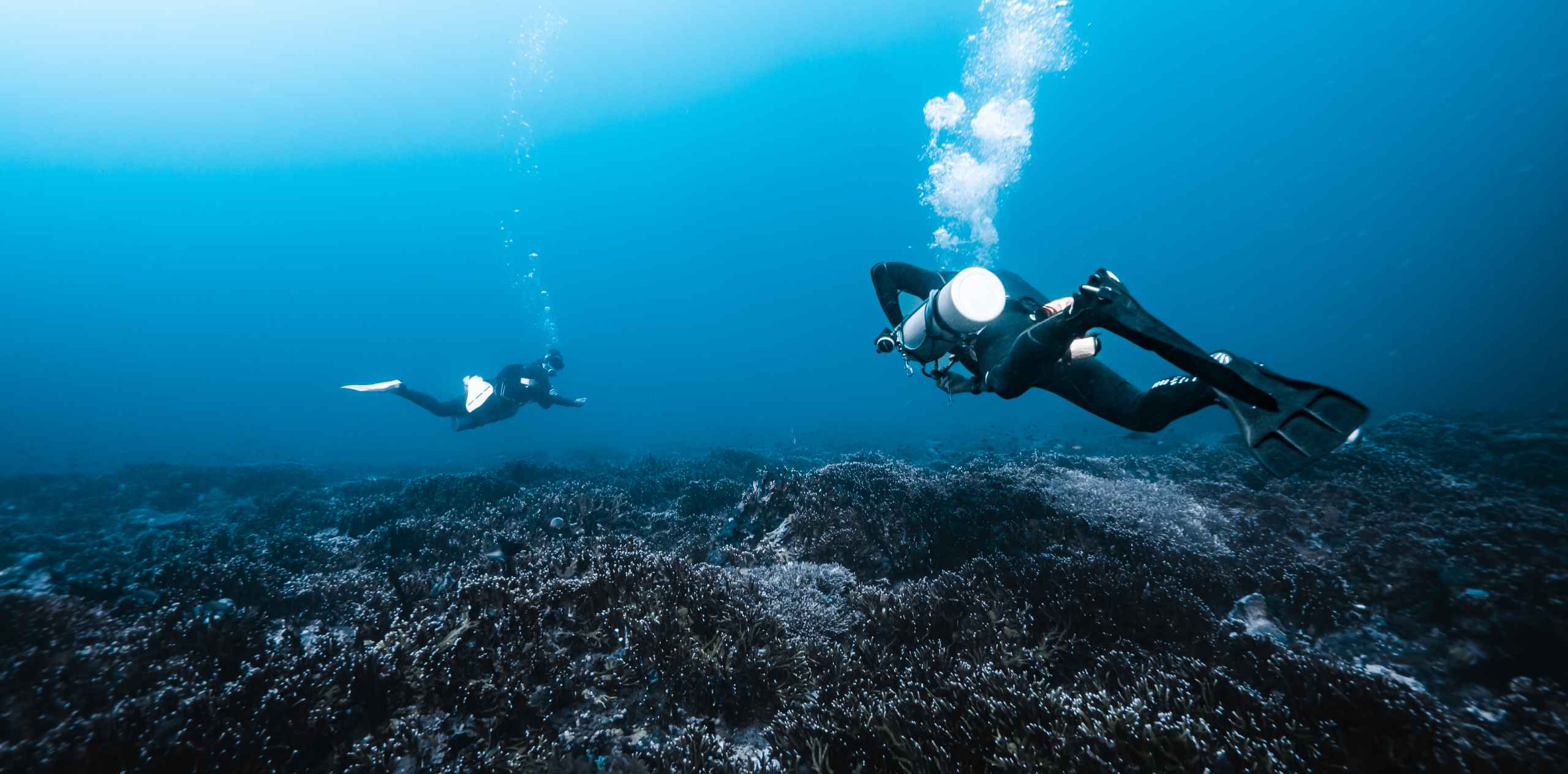 Two scuba divers exploring a coral reef near Nusa Lembongan, bubbles rising as they swim over the seabed.