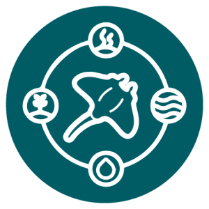Nusa Lembongan badge with white manta ray centered in teal circle, surrounded by icons for people, waves, water, and reef.