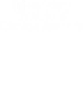 Tripadvisor Travelers' Choice Awards 2025 badge with owl and laurel indicating award.