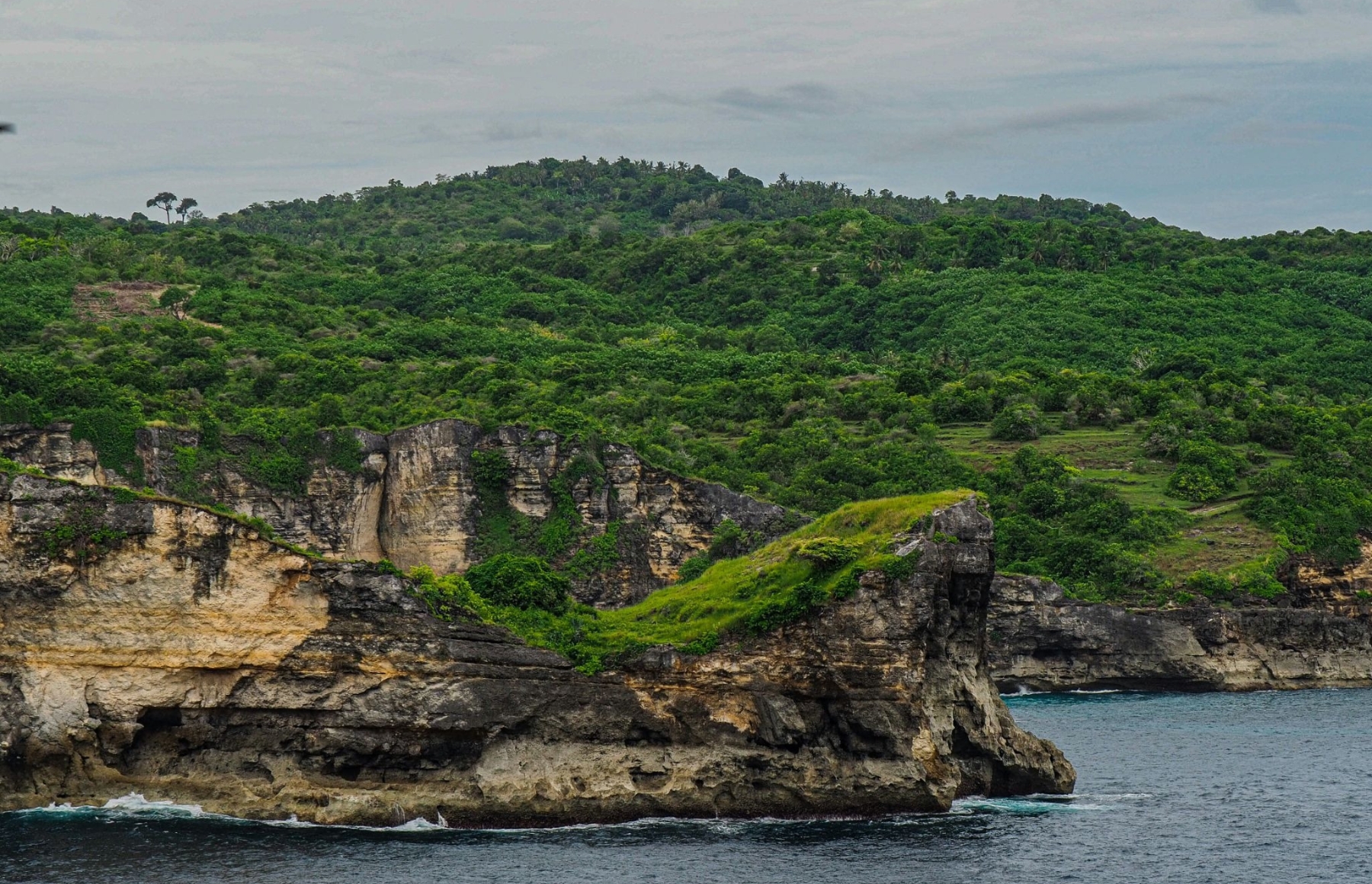 Rocky coastal cliff with green grassy headland and dense forested hills rising behind under an overcast sky